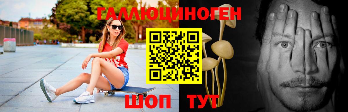 Галлюциногенные грибы Cubensis  Вход с VPN  Гагарин 